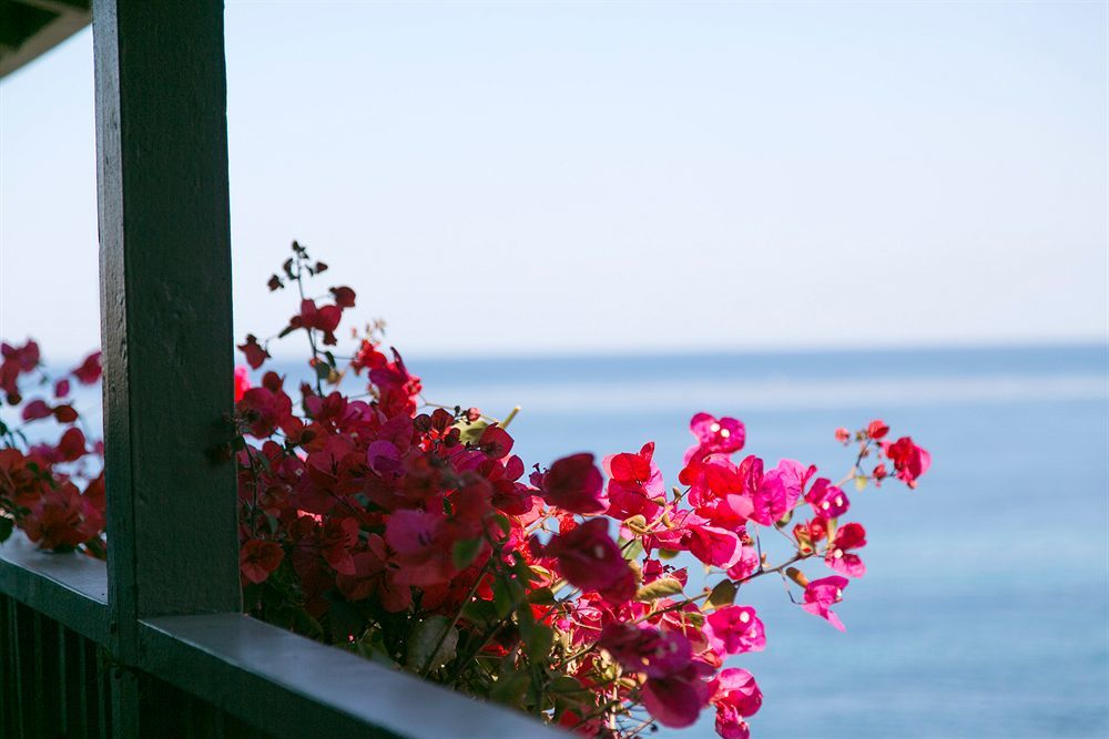 Scripps Inn San Diego Dış mekan fotoğraf